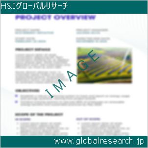 グローバルリサーチ調査レポートのイメージ